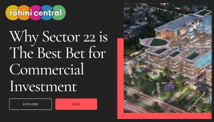 Why Sector 22 is the Best Bet for Commercial Investment