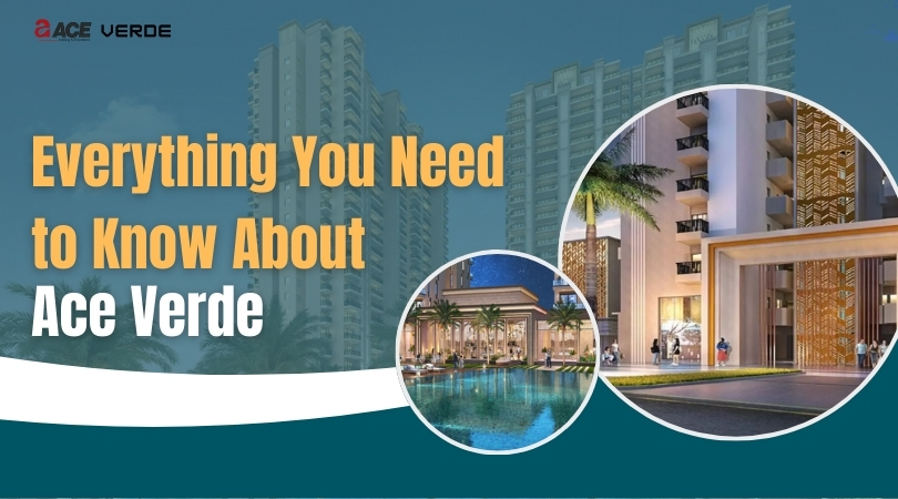 Everything You Need to Know About Ace Verde